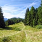 L'ampia distesa di prati e boschi tra il Col de Bard (2178 m) e la Court de Bard.