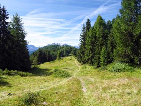 L'ampia distesa di prati e boschi tra il Col de Bard (2178 m) e la Court de Bard.
