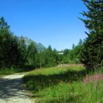 Tratto di strada sterrata nel fondovalle della Val Veny, tra Peutérey e Freney.