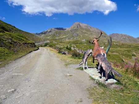 La strada sterrata per il Rifugio Mont Fallère, con il Mont Fallère (3040 m) sullo sfondo.