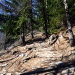 Tratto intermedio verso il Rifugio Bertone.