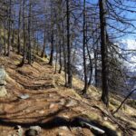 Ultimi tornanti verso il Rifugio Bertone.